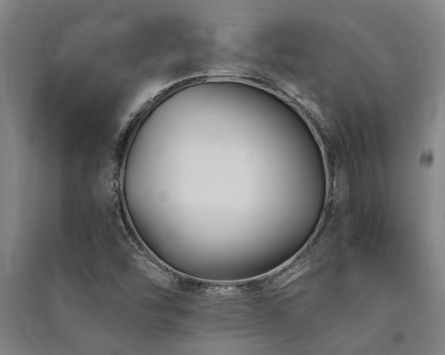X0000091481454200708161409