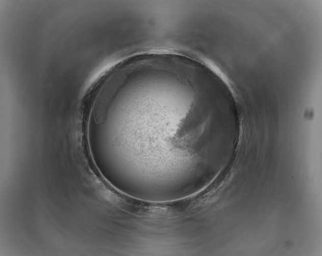X0000091481456200708161409