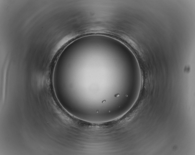 X0000091481458200708161409