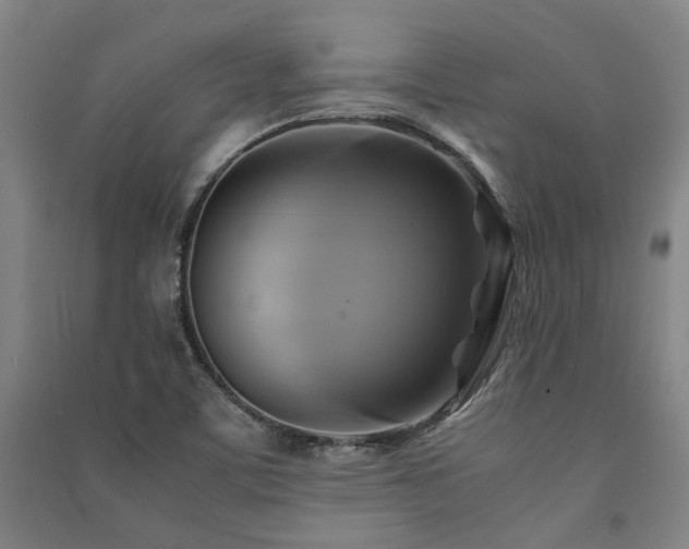 X0000091481459200708161409