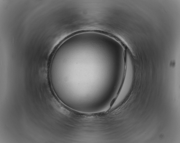 X0000091481460200708161409
