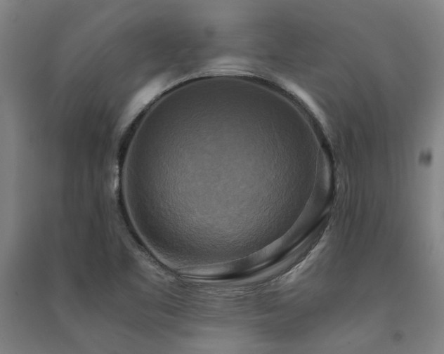 X0000091481461200708161409