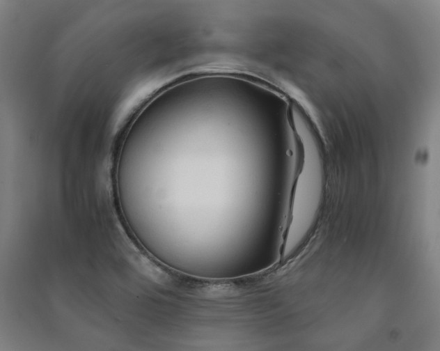 X0000091481464200708161409