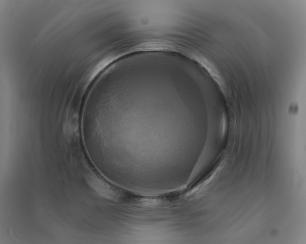 X0000091481465200708161409