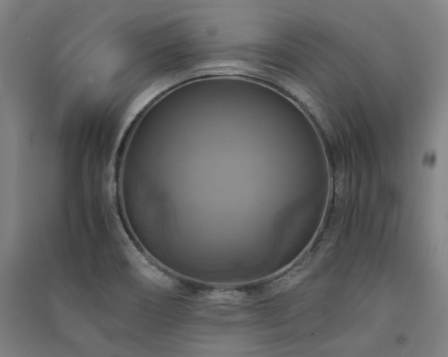 X0000091481466200708161409
