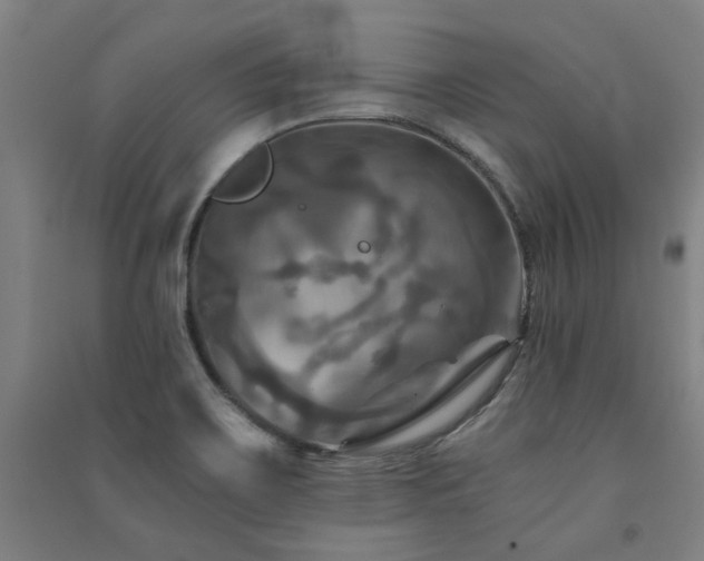 X0000091481467200708161409