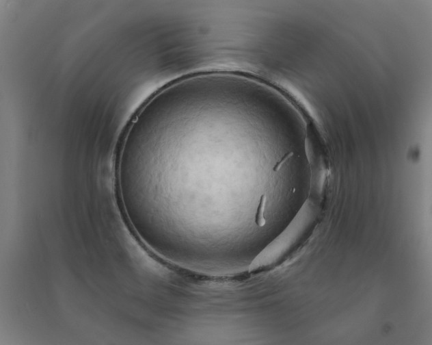 X0000091481468200708161409
