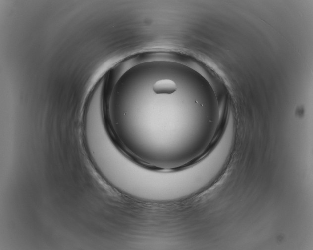 X0000091481469200708161409