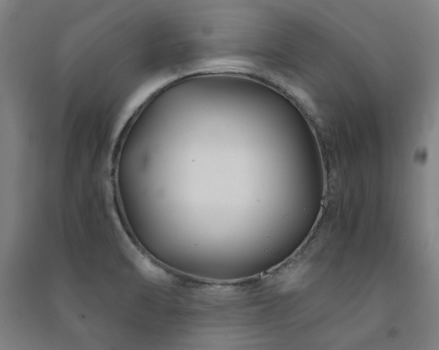 X0000091481470200708161409