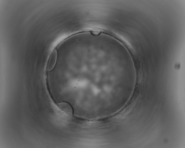 X0000091481471200708161409