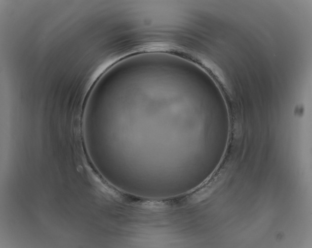 X0000091481473200708161409