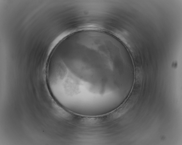 X0000091481474200708161409