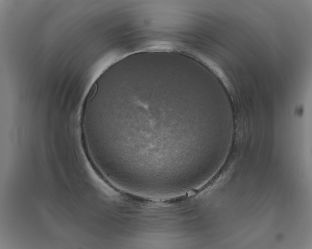 X0000091481475200708161409