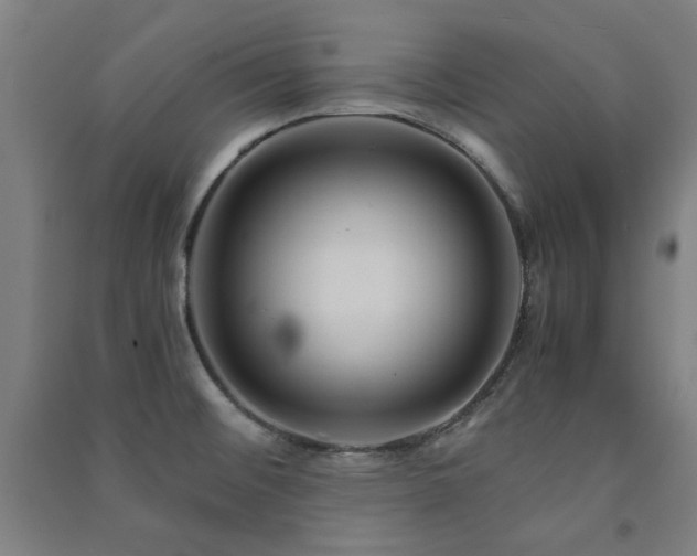 X0000091481476200708161409