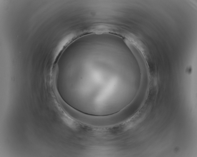 X0000091481477200708161409