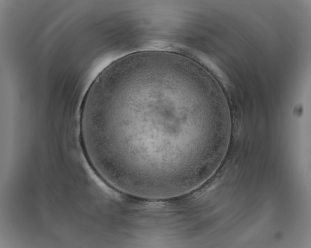X0000091481479200708161409