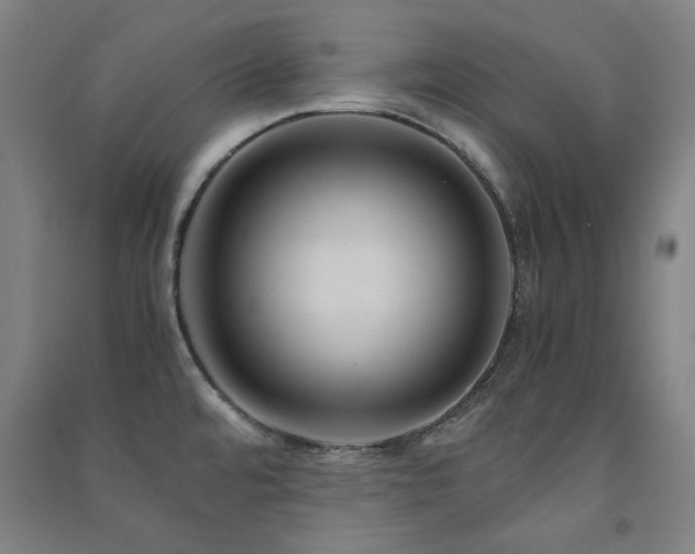X0000091481480200708161409