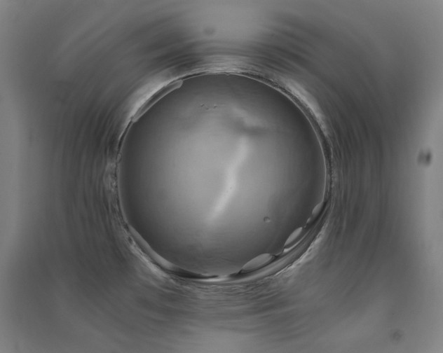 X0000091481481200708161409