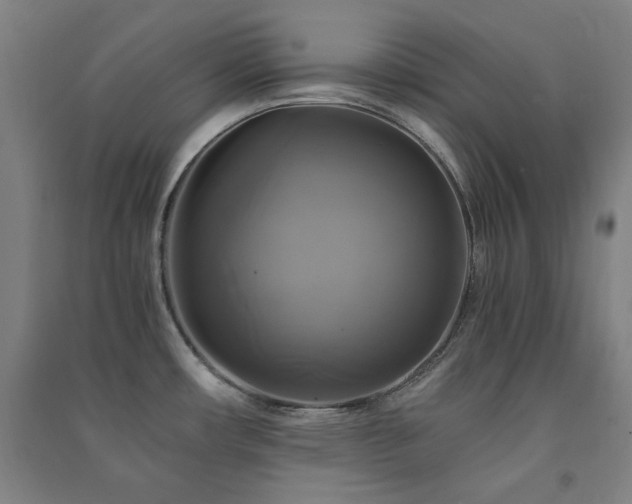 X0000091481482200708161409