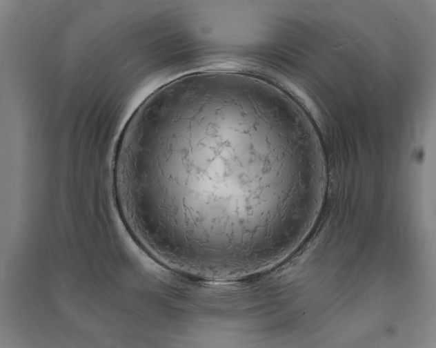X0000091481483200708161409