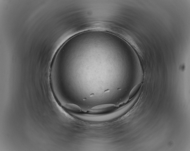 X0000091481484200708161409