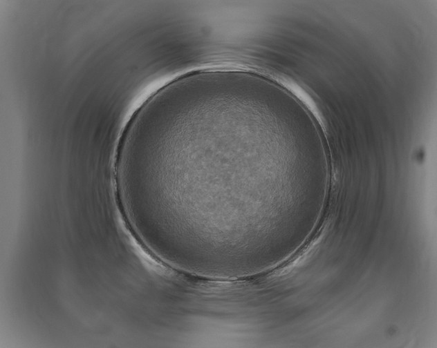 X0000091481485200708161409