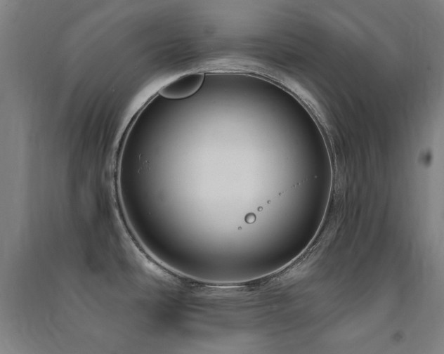 X0000091481486200708161409