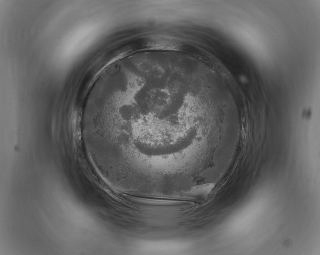 X0000091481487200708161409