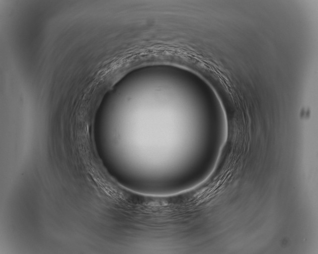 X0000091481489200708161408