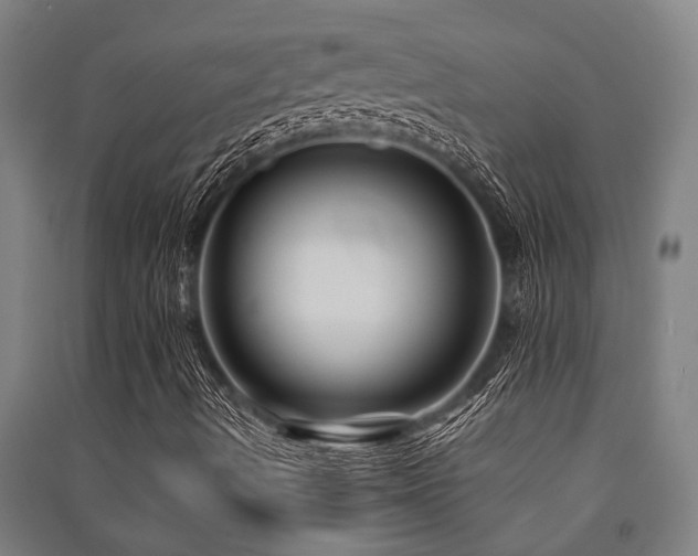 X0000091481490200708161408