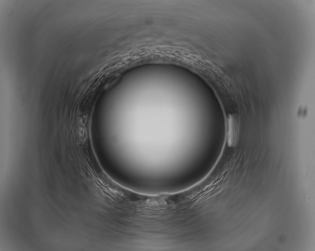X0000091481491200708161408
