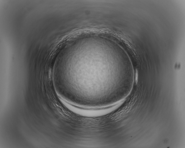 X0000091481492200708161408