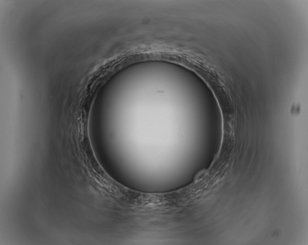 X0000091481493200708161408