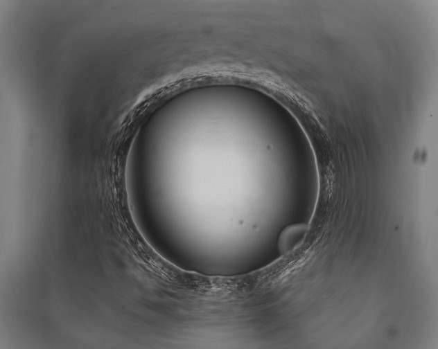 X0000091481494200708161408