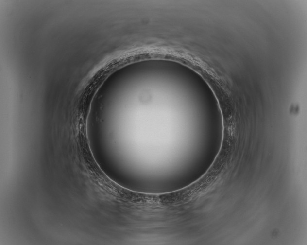 X0000091481495200708161408