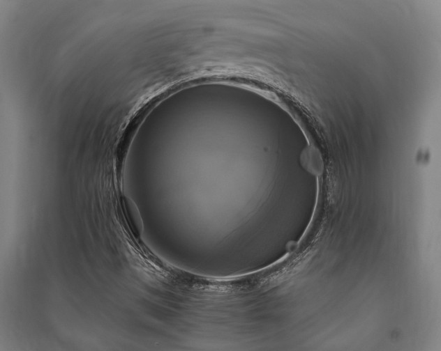 X0000091481497200708161408