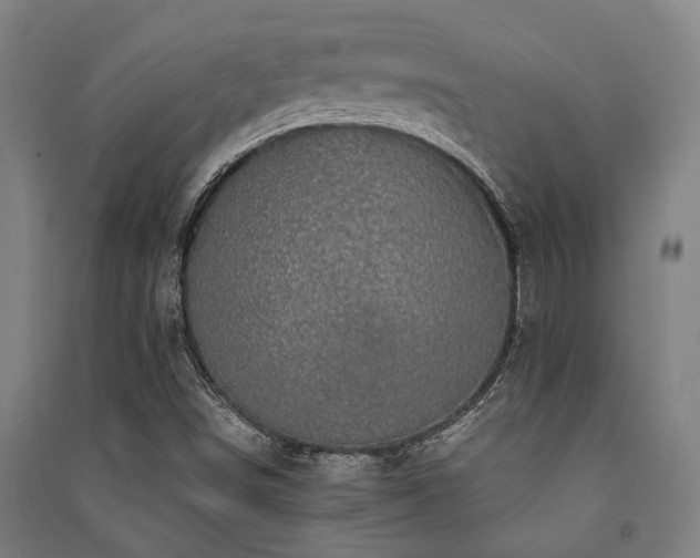 X0000091481498200708161408