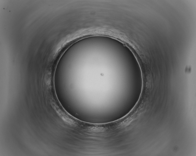X0000091481499200708161408