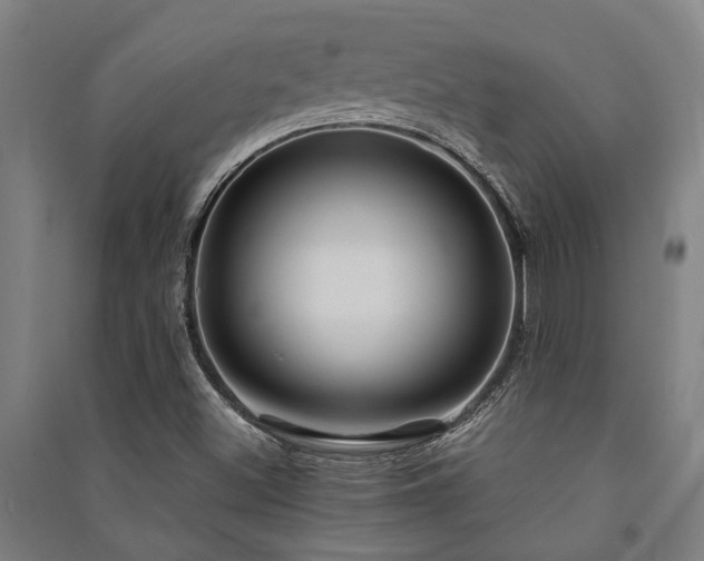 X0000091481500200708161408