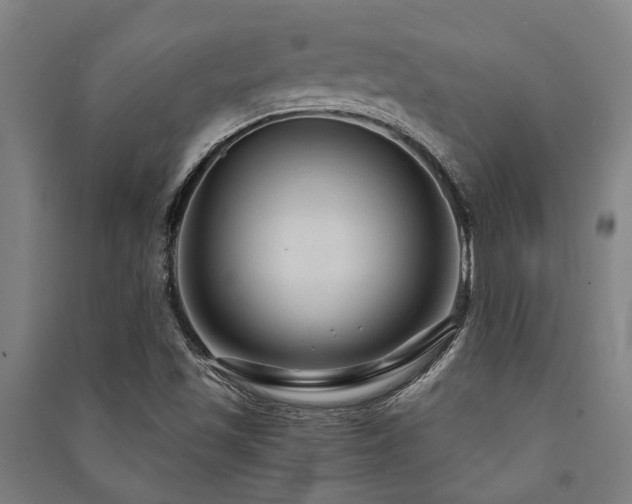 X0000091481501200708161408