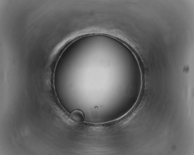 X0000091481502200708161408