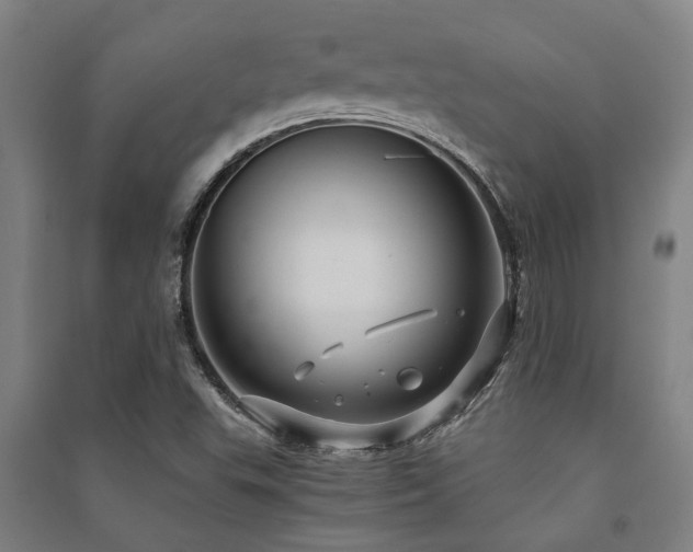 X0000091481503200708161408