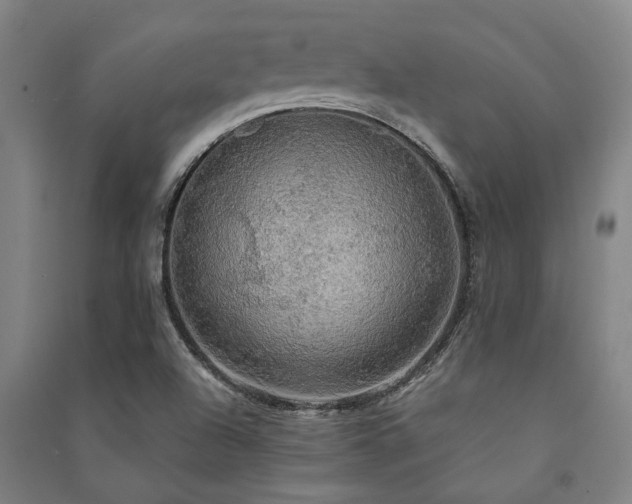 X0000091481504200708161408