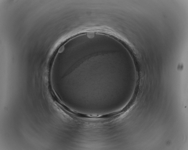 X0000091481506200708161408
