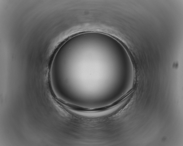 X0000091481507200708161408