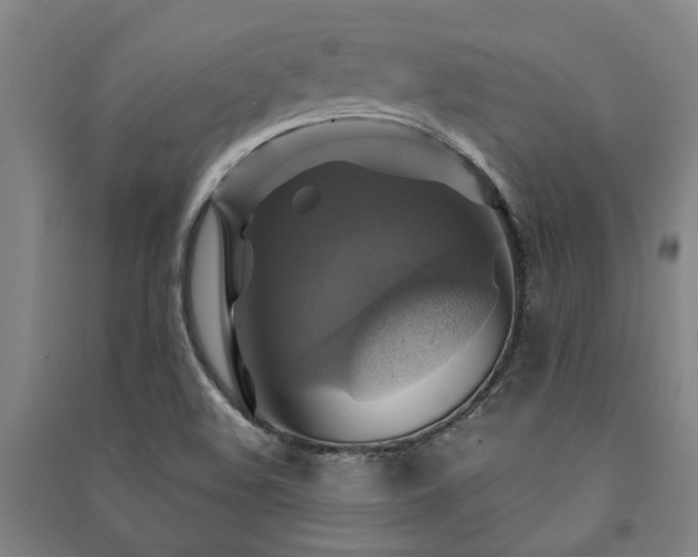 X0000091481508200708161408