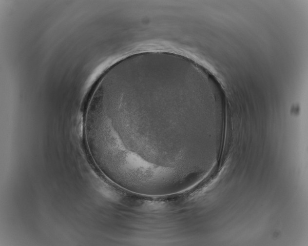 X0000091481509200708161408