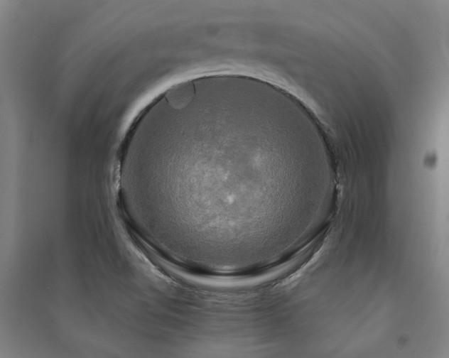 X0000091481510200708161408