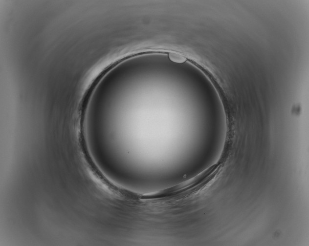 X0000091481511200708161408