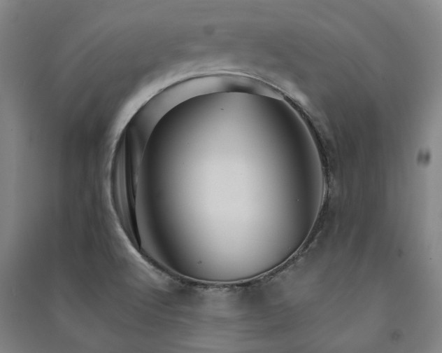 X0000091481512200708161408